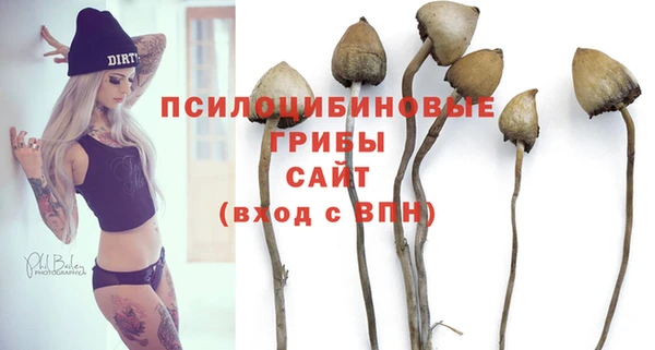 соль курить ск Няндома