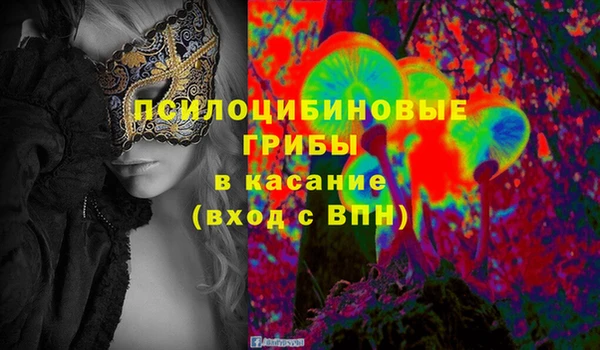 соль курить ск Няндома
