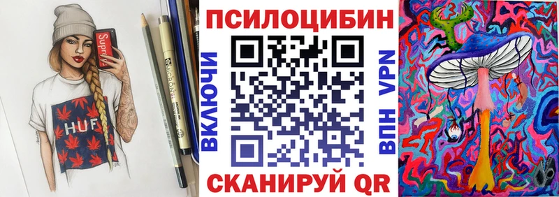Купить где  Динская  Галлюциногенные грибы Psilocybine cubensis 